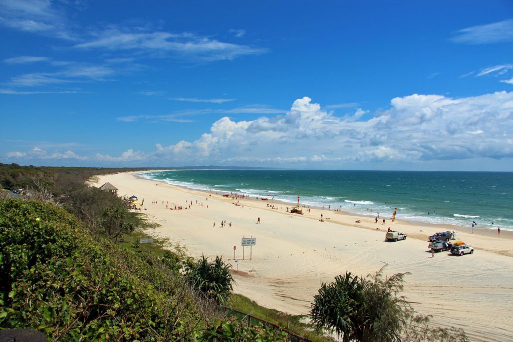 Sunshine Coast Electrical Services